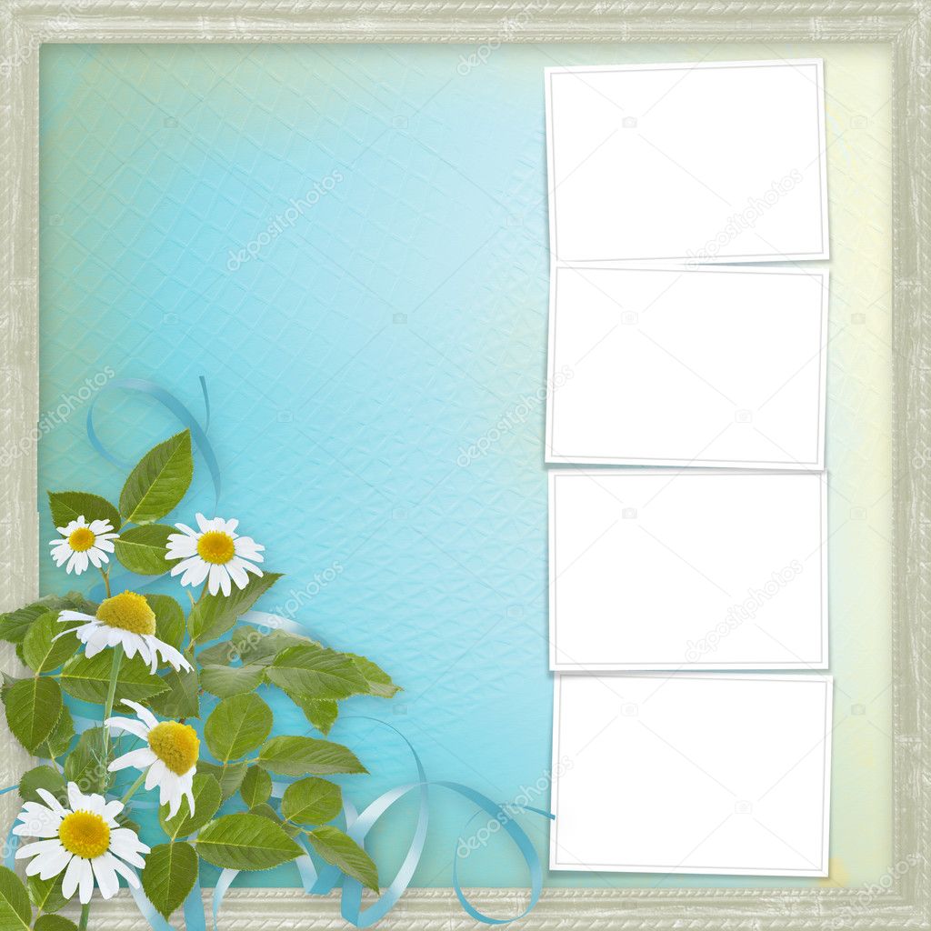 Grunge frames with beautiful daisy for design