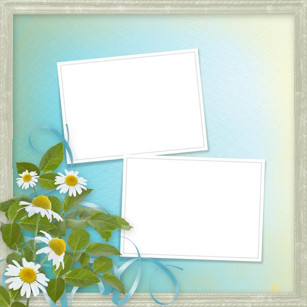 Grunge rámečky s krásnou daisy design — Stock fotografie