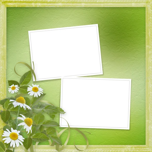 Grunge frames with beautiful daisy for design — Stock Photo, Image