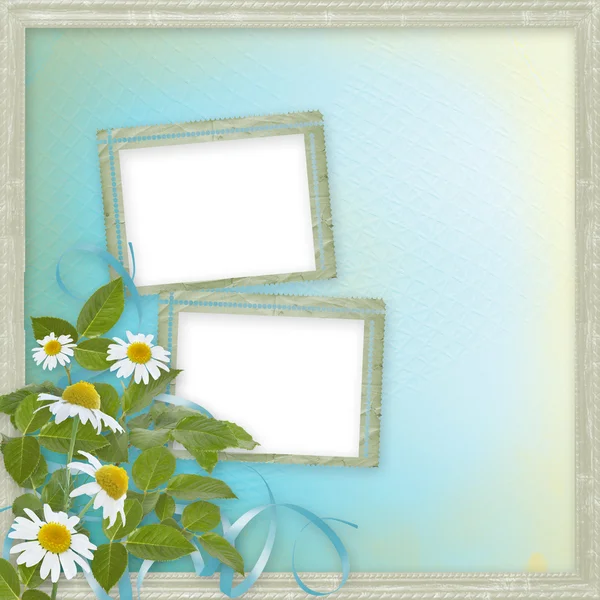 Grunge rámečky s krásnou daisy design — Stock fotografie