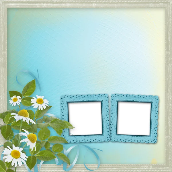 Grunge frames with beautiful daisy for design — Stock Photo, Image