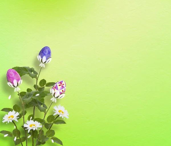Пастельний фон з різнокольоровими яйцями та квітами для святкування — стокове фото