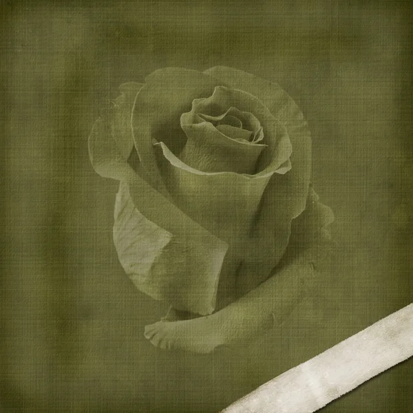Starodawny stary pocztówka na gratulacje z różami — Zdjęcie stockowe