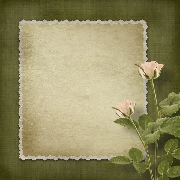 Cartão postal velho vintage de congratulação com rosas — Fotografia de Stock