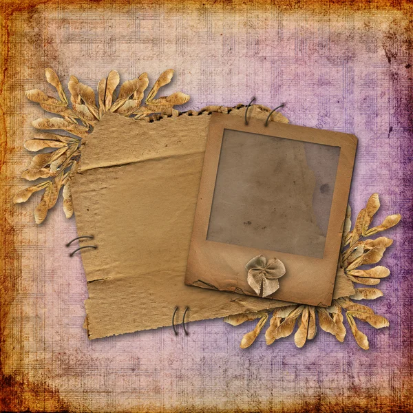 Грандиозная горка на старом отчужденном картоне с листвой — стоковое фото