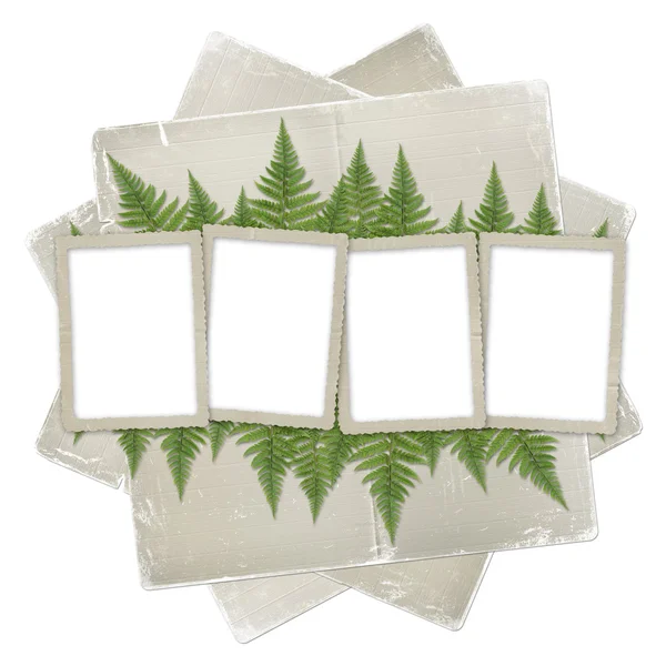 Witte geïsoleerde achtergrond met papier frame en bos van twijgen fe — Stockfoto