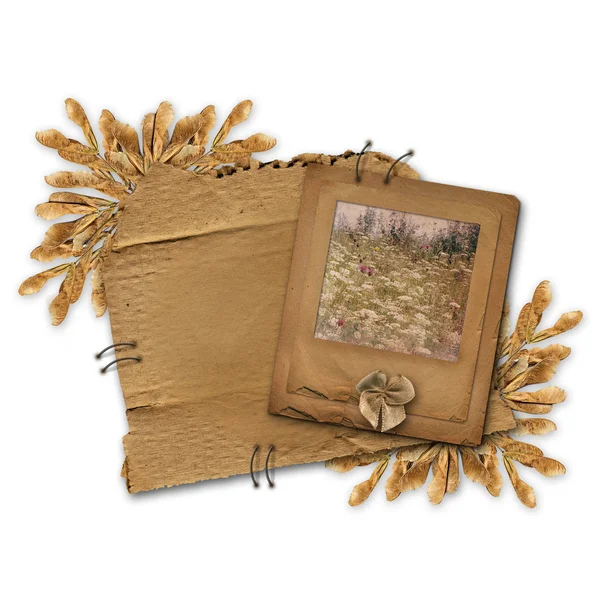 Grunge deslize no velho cartão alienado com folhagem — Fotografia de Stock
