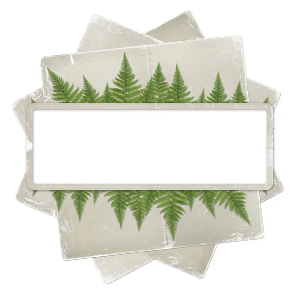 Bianco sfondo isolato con cornice di carta e mazzo di ramoscelli fe — Foto Stock