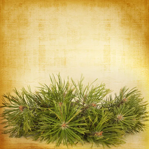 Christmas greeting vintage card with branches of spruce — Stock Photo, Image