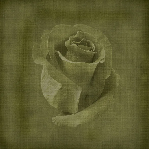 Vieille carte postale vintage pour féliciter avec des roses — Photo