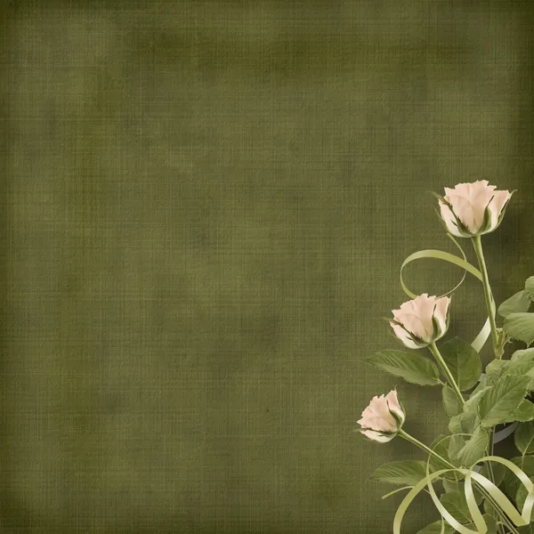 Вінтажна листівка для привітання з трояндами та стрічками — стокове фото