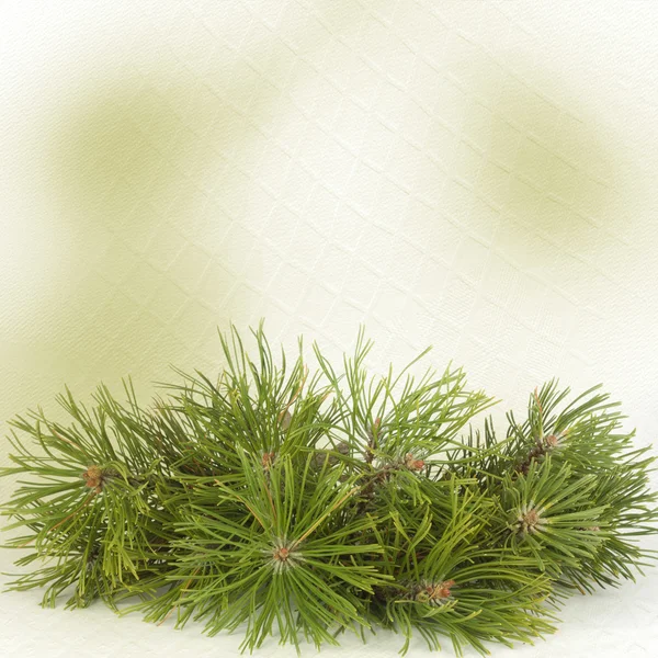 Noel vintage kartpostal ile Ladin ağacı dalları — Stok fotoğraf
