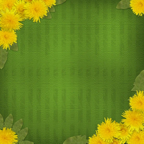 Fundo abstrato verde com flores de dente de leão — Fotografia de Stock