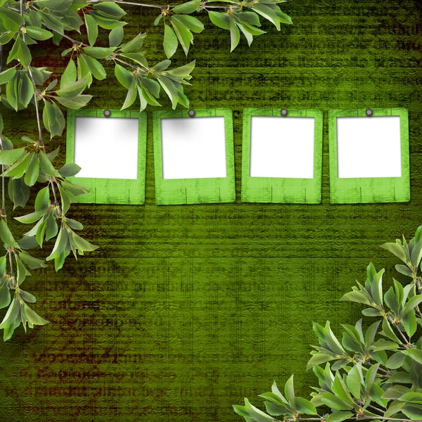 추상적인 녹색 벽의 배경에 낙 엽 나뭇가지 — 스톡 사진