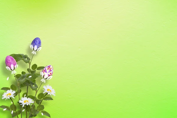 パステル調の背景に色とりどりの卵、讃歌の花 — ストック写真