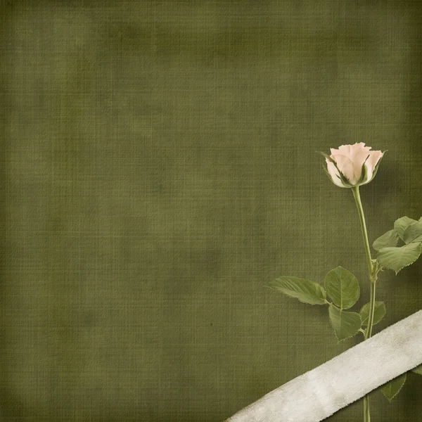 Cartão postal velho vintage de congratulação com rosas — Fotografia de Stock