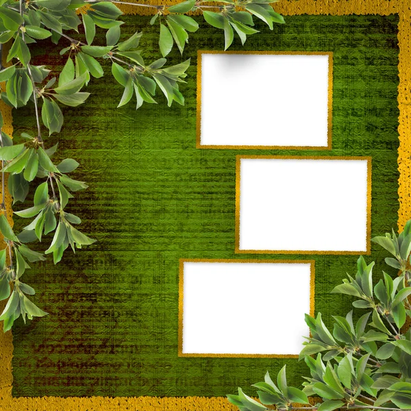 落叶树分支的背景上的抽象绿墙 — 图库照片