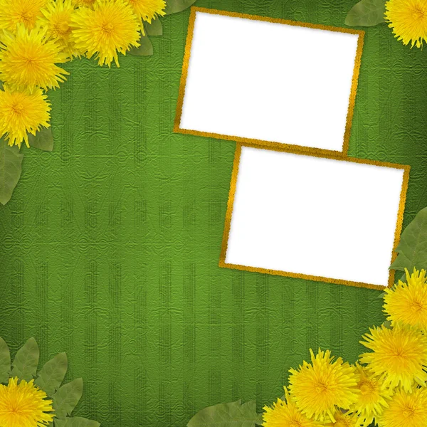 Grüne abstrakte Hintergrund mit Blumen von Löwenzahn — Stockfoto