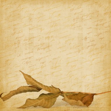 Bright autumn leaves on the abstract background with handwrite t clipart