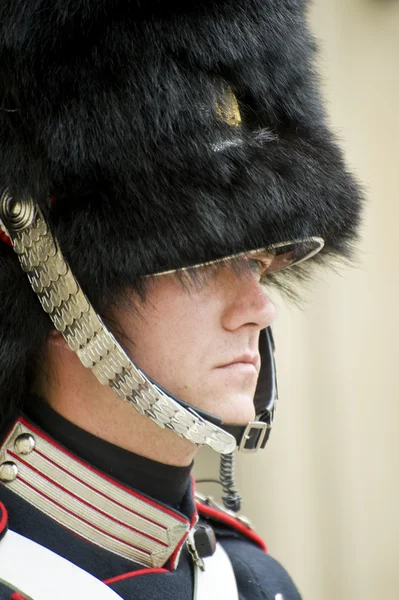 Δανία βασιλικής φρουράς — Φωτογραφία Αρχείου