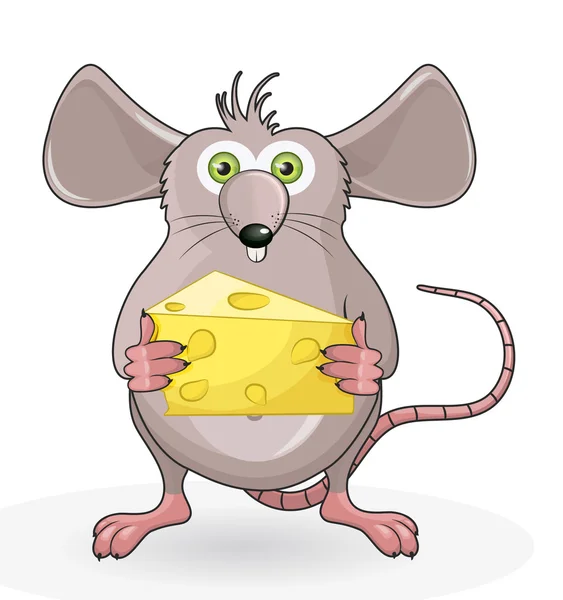 Rato engraçado com queijo — Vetor de Stock