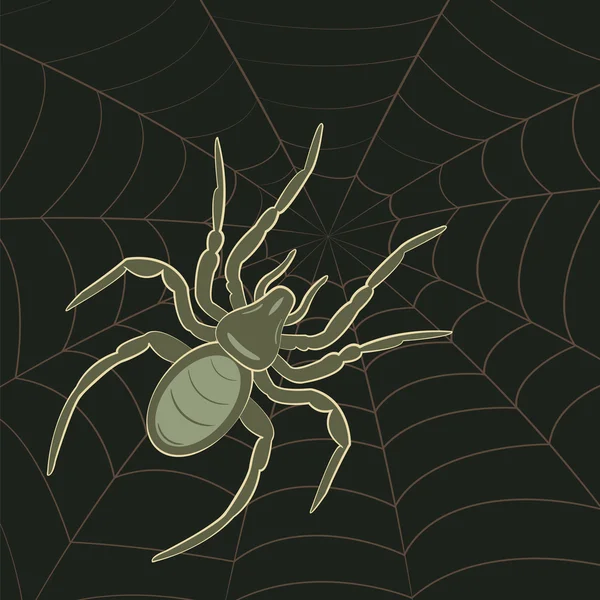 Örümcek web üzerinde — Stok Vektör