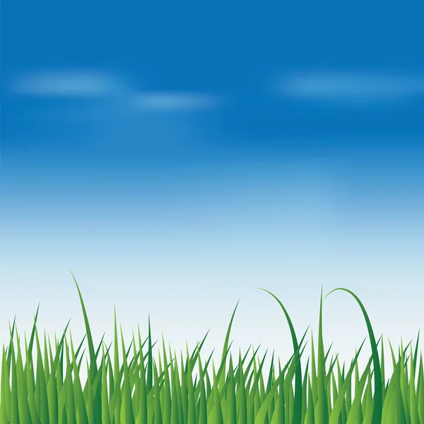 Frisches grünes Gras über blauem Himmel — Stockvektor