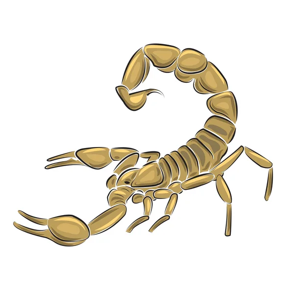 Скорпион изолирован на белом фоне — стоковый вектор