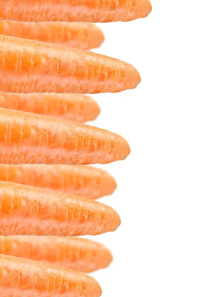 Carrots on White Background — Stock Photo, Image