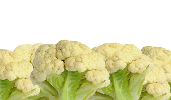 Cauliflower on White Background — Stock Photo, Image