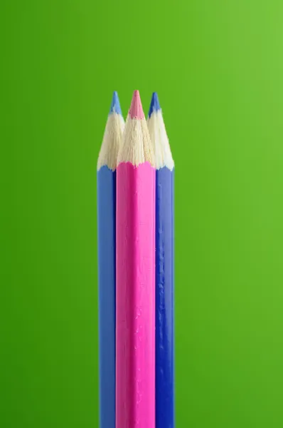 Blauwe en roze potloden op groene achtergrond — Stockfoto