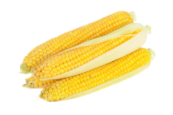 Kukurydza na kolbach — Zdjęcie stockowe
