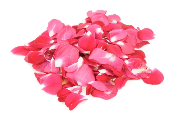 Montón de pétalos de rosa roja — Foto de Stock