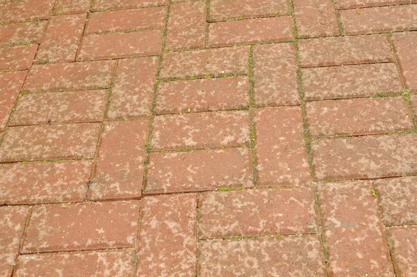 Плиточный тротуар с капельками дождя — стоковое фото