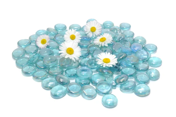 Beautiful Daisy Flowers with Blue Glass Stones — Stock Photo, Image