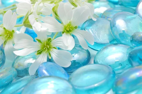 Delikatne białe kwiaty na kamienie niebieskie szkło — Zdjęcie stockowe