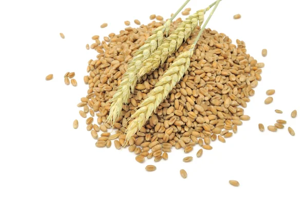 Зерна пшениці з вухами — стокове фото