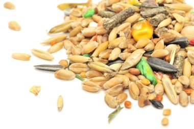 Rodent Food Mix of Grains and Seeds clipart