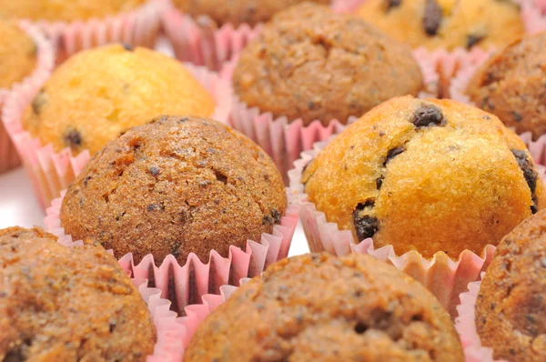 Muffins de Chocolate e Chocolate Chip — Fotografia de Stock