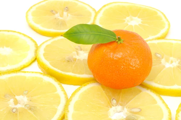 Mandarine mit grünem Blatt auf Zitronenscheiben — Stockfoto