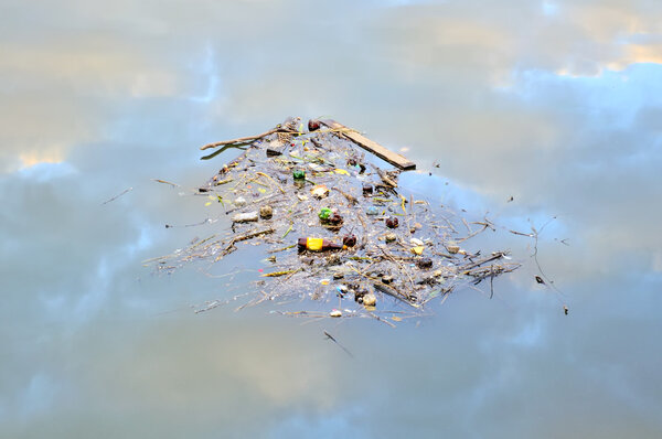 Garbage Floating on the Water