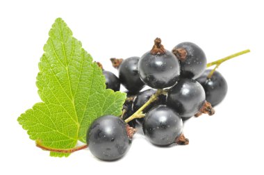 Black Currants with Green Leaf clipart