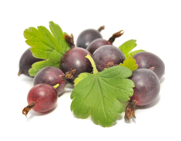 Red Gooseberries with Green Leaves — Stock Photo, Image