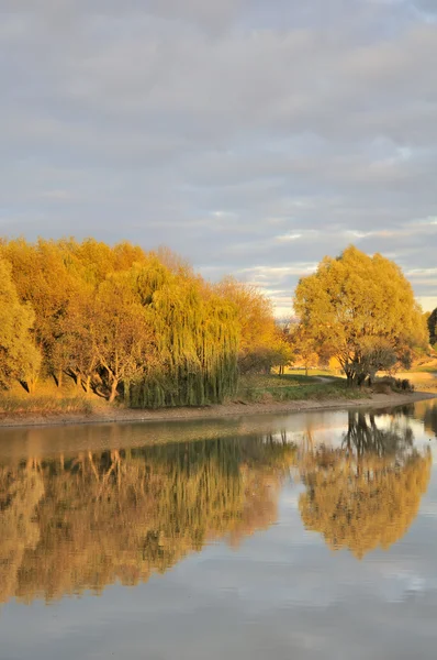 Beautiful Autumn Scenery – Lake and Yellow Trees — Stock Photo, Image