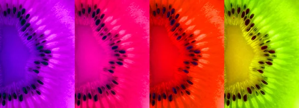 Fette di kiwi multicolore (viola, rosa, rosso, verde) — Foto Stock
