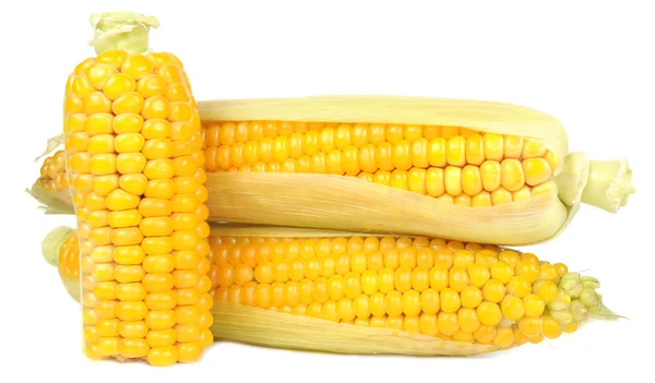 Maïs op de kolven — Stockfoto