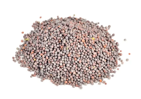 Pilha de sementes de mostarda preta — Fotografia de Stock