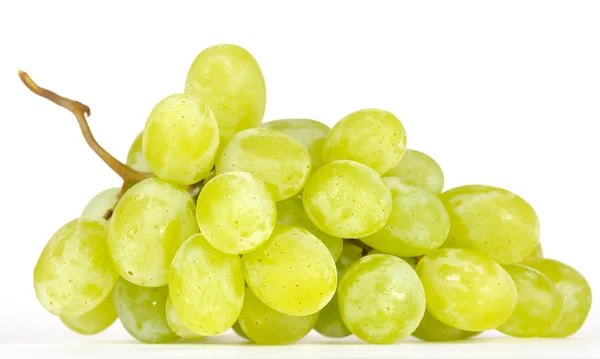 Klastra winogron muscat biały — Zdjęcie stockowe