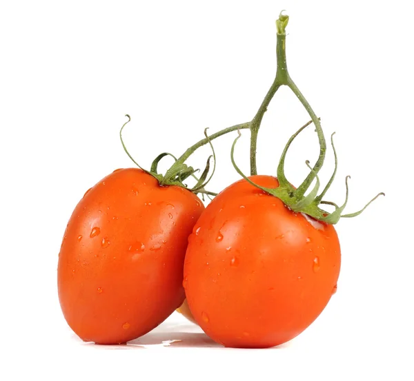 Czerwone pomidory w kropli wody — Zdjęcie stockowe