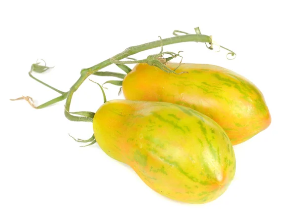 Tomates ameixa amarela com listras verdes — Fotografia de Stock